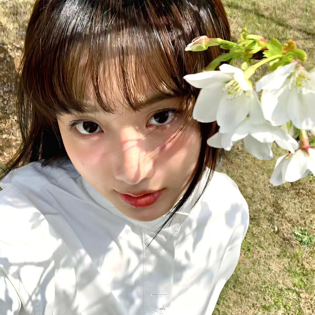 逍遥骑士